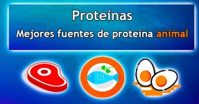 CONPROTEINAS | Proteínas vs ganadores de peso