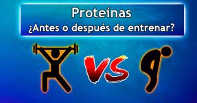 CONPROTEINAS | Proteínas: ¿Qué son las proteínas?