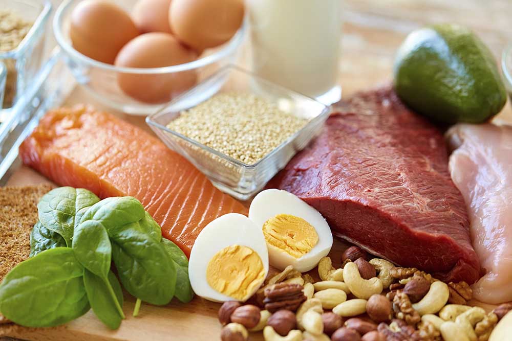 CONPROTEINAS|Alimentación Proteica