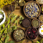 CONPROTEINAS|Antioxidantes y Hierbas: cómo mejorar la salud y el rendimiento