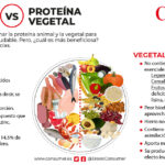 CONPROTEINAS|Proteína Vegetal