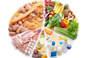 CONPROTEINAS | Dieta cetogenica y su impacto en la microbiota intestinal