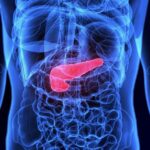 CONPROTEINAS | Dieta cetogenica y resistencia a la insulina mejor resultado CONPROTEINAS | Dieta cetogenica y resistencia a la insulina mejor resultado