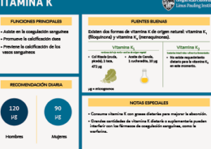 CONPROTEINAS | Proteinas y salud hepatica clave para el funcionamiento del higado
